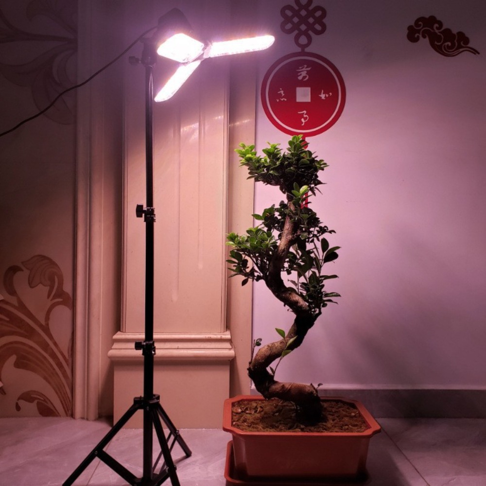 Light Bulb Stand 2M, E27 AC So – Photography Lighting For Studio recenzja i cena