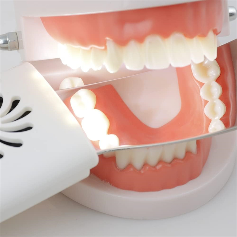 Dental Anti-Fog Mirrors With L – Photography Lighting Led recenzja i cena