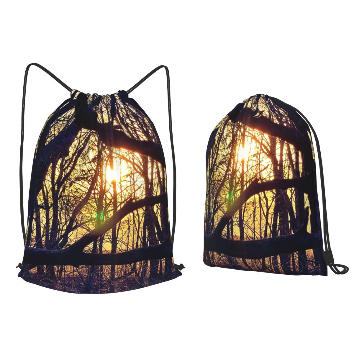 Forest Light At Sunset Nature  – Lighting In Photography Book recenzja i cena